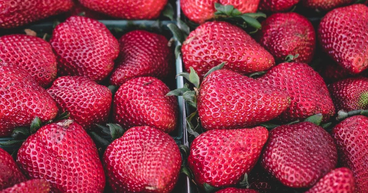 Share Marriage Biodata on WhatsApp Shaadi BharatMatrimony Jeevansathi