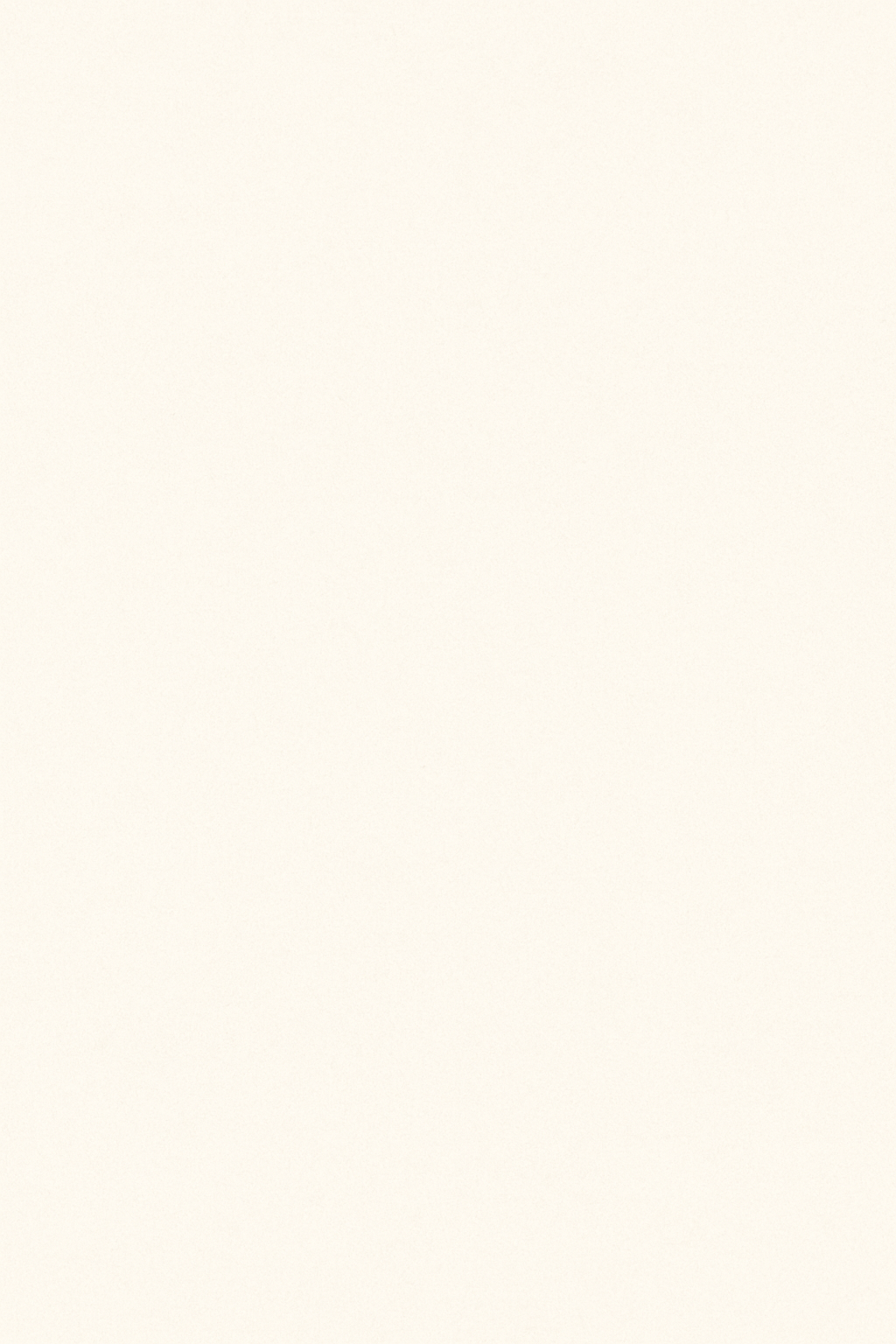 Template 5